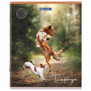 Тетрадь 48л., КЛЕТКА, А5BRAUBERG скоба, обложка картон, Best Friends, 1 шт, 404360