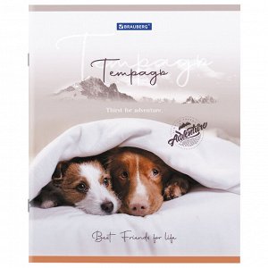 Тетрадь 48л., КЛЕТКА, А5BRAUBERG скоба, обложка картон, Best Friends, 1 шт, 404360