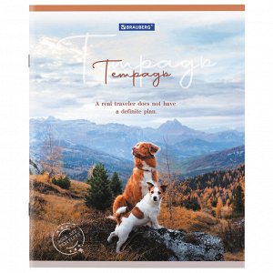 Тетрадь 48л., КЛЕТКА, А5BRAUBERG скоба, обложка картон, Best Friends, 1 шт, 404360