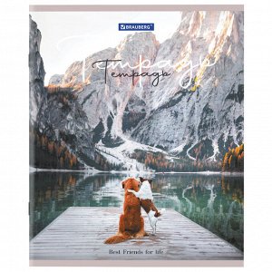 Тетрадь 48л., КЛЕТКА, А5BRAUBERG скоба, обложка картон, Best Friends, 1 шт, 404360