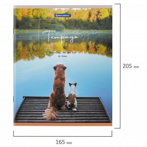 Тетрадь 48л., КЛЕТКА, А5BRAUBERG скоба, обложка картон, Best Friends, 1 шт, 404360