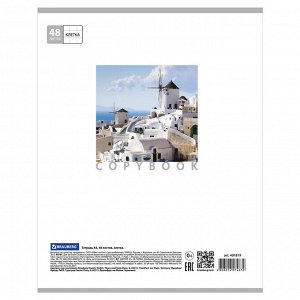 Тетрадь 48л., КЛЕТКА, А5BRAUBERG скоба, обложка картон, КАНИКУЛЫ, 1 шт, 401819