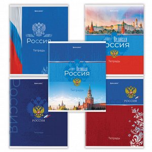 Тетрадь 48л., КЛЕТКА, А5BRAUBERG скоба, обложка картон, Россия, 1 шт, 404362