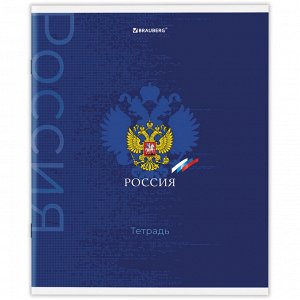 Тетрадь 48л., КЛЕТКА, А5BRAUBERG скоба, обложка картон, Россия, 1 шт, 404362