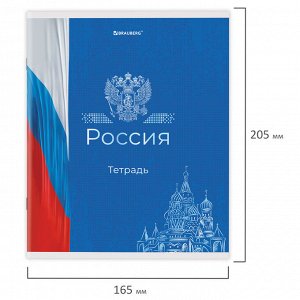 Тетрадь 48л., КЛЕТКА, А5BRAUBERG скоба, обложка картон, Россия, 1 шт, 404362