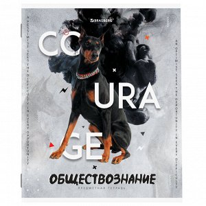 Тетради предметные, КОМПЛЕКТ 10 ПРЕДМЕТОВ, 48л, обложка картон, BRAUBERG, SPORT CLUB, 404841