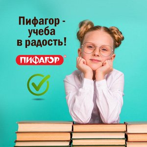 Обложки для тетрадей и дневников, КОМПЛЕКТ 10 шт, КЛЕЙКИЙ КРАЙ, ПП, 80мкм, 210х380мм, ПИФАГОР, 229343