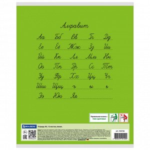 Тетрадь 12л, ЛИНИЯ, BRAUBERG КЛАССИКА, обложка картон, ЗЕЛЕНАЯ, 104726