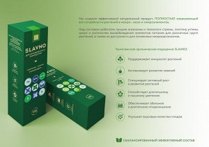 Почему Slavno?