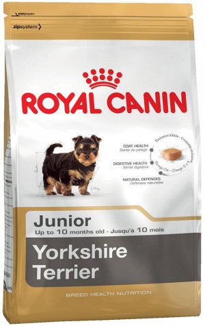 Yorkshire terrier junior (йоркширский терьер юниор)