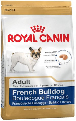 French bulldog adult (французский бульдог эдалт)