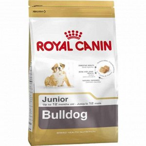 Bulldog junior (бульдог юниор)