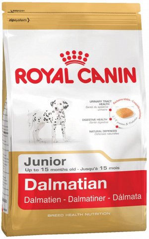 Dalmatian junior (далматин юниор)