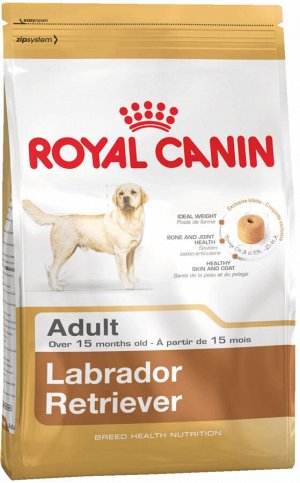 Labrador retriever adult (лабрадор-ретривер эдалт)
