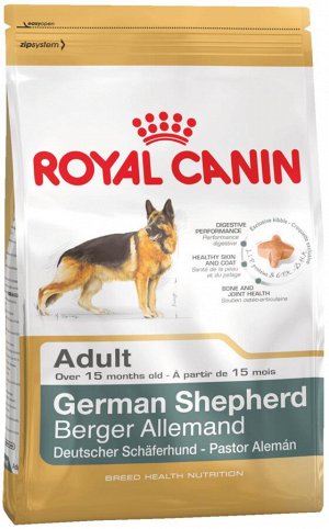 German shepherd adult (немецкая овчарка эдалт)