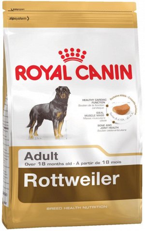 Rottweiler adult (ротвейлер эдалт)