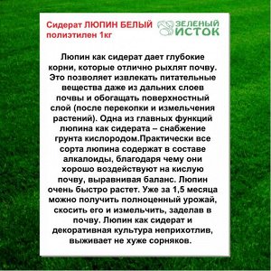 Сидерат ЛЮПИН БЕЛЫЙ полиэтилен 1кг (Зеленый исток)