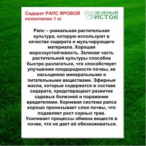 Сидерат РАПС ЯРОВОЙ полиэтилен 1 кг (Зеленый исток)