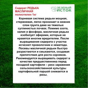 Сидерат РЕДЬКА МАСЛИЧНАЯ полиэтилен 1кг (Зеленый исток)