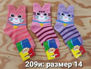 Носки детские хлопок с принтом Кошки и собаки цвета Микс, без выбора