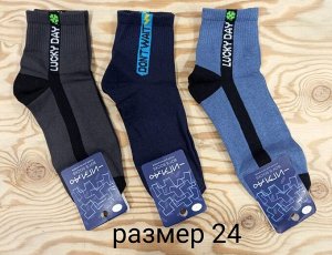 Носки детские гладкие хлопок с надписями цвета Микс, без выбора