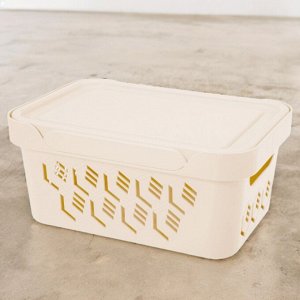 ЯЩИК С КРЫШКОЙ УНИВЕРСАЛЬНЫЙ "DELUXE", 4,6Л (бежевый)