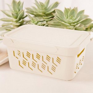 ЯЩИК С КРЫШКОЙ УНИВЕРСАЛЬНЫЙ "DELUXE", 4,6Л (бежевый)