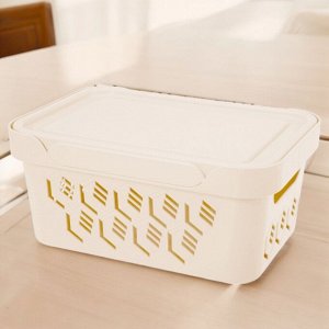ЯЩИК С КРЫШКОЙ УНИВЕРСАЛЬНЫЙ "DELUXE", 4,6Л (бежевый)