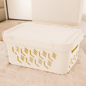 ЯЩИК С КРЫШКОЙ УНИВЕРСАЛЬНЫЙ "DELUXE", 4,6Л (бежевый)