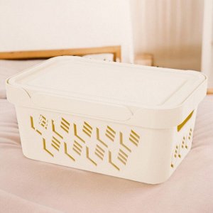 ЯЩИК С КРЫШКОЙ УНИВЕРСАЛЬНЫЙ "DELUXE", 4,6Л (бежевый)