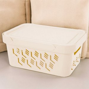 ЯЩИК С КРЫШКОЙ УНИВЕРСАЛЬНЫЙ "DELUXE", 4,6Л (бежевый)