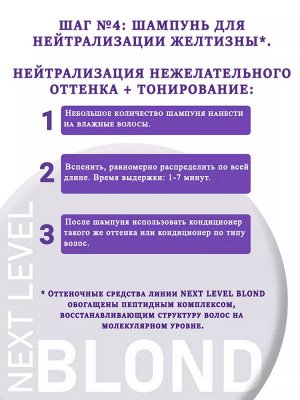 Концепт Шампунь от желтизны Дымчатый аметист Concept NEXT LEVEL BLOND 300 мл