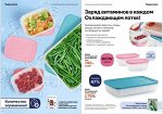 Охлаждающий лоток 450 мл-2 шт