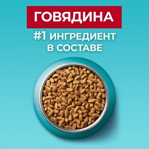 Сухой корм Purinа One для стерилизованных кошек, говядина/пшеница, 750 г