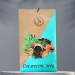 Саше ароматическое &quot;Свежесть леса&quot;, 10 г, &quot;Богатство Аромата&quot;