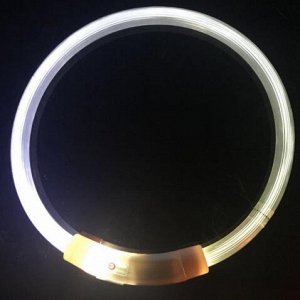 Светящийся LED ошейник с USB зарядкой