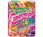 Мармелад жевательный Candemina фруктовое ассорти Kanro 72 гр Японские сладости