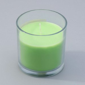 Свеча ГИГАНТ ароматическая в стакане "Яблоко с корицей", соевый воск, 10х10 см