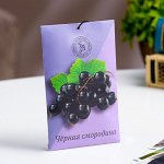 Саше ароматическое &quot;Чёрная смородина&quot;, 10 г, &quot;Богатство Аромата&quot;