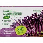 Набор для выращивания микрозелени 3 в 1 АгроСидсТрейд Фиолетовый редис, брокколи, рукола