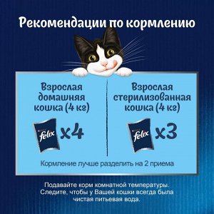 Влажный корм для кошек Felix Природа Вкуса Говядина 75 г