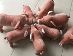 Игрушка мягкая свинка 25 см, 1 шт.