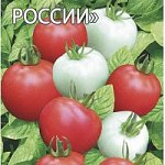 Томат Сорт «Яблонька России/Тамина»