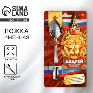 Ложка чайная именная «Андрей», 3x14 см