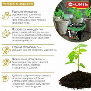 Удобрение пролонгированное гранулированное с биодоступным кремнием Для петуний и бегоний BONA Forte 1 л
