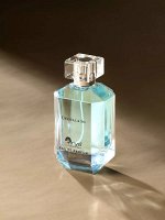 Парфюмерная вода Arya Crystal &amp; So 100 мл