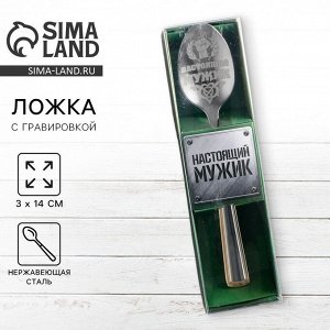 Ложка чайная с гравировкой «Настоящий мужик», в подарочной коробке, 3x14 см