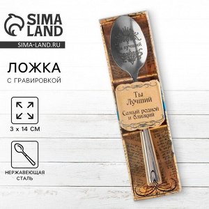 Ложка чайная с гравировкой «Ты Лучший», в подарочной коробке, 3x14 см