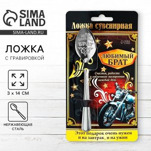 Ложка чайная с гравировкой «Любимый брат», на подарочной открытке, 3x14 см