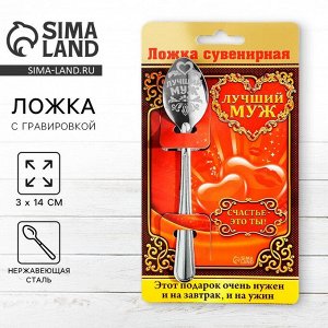Ложка чайная с гравировкой «Лучший муж», на подарочной открытке, 3x14 см